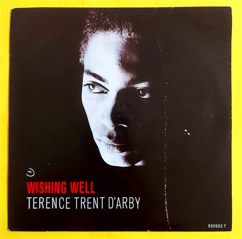 Beyond the Coin Toss: 60+ Wishes Inspired by "Wishing Well" by Terence Trent D'Arby