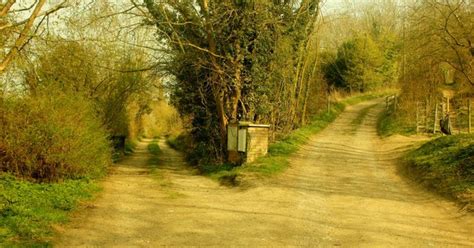 Bittersweet Reflections: For a Path Not Taken