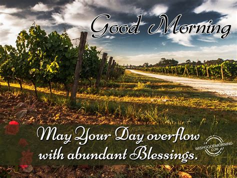Blessings & Abundant Well Wishes