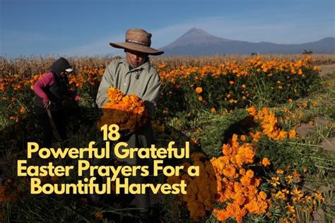 Blessings for a Bountiful Harvest
