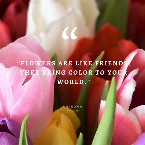 Blooming with Beauty: Wishes That Compliment Them
