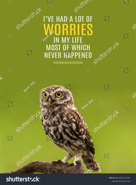 Button-Eyed Words of Wisdom