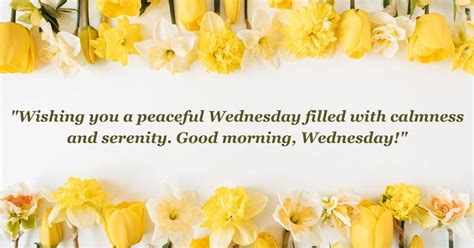 Calm & Centered: Peaceful Wednesday Blessings