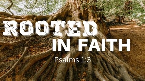 Celebrating a Friendship Rooted in Faith