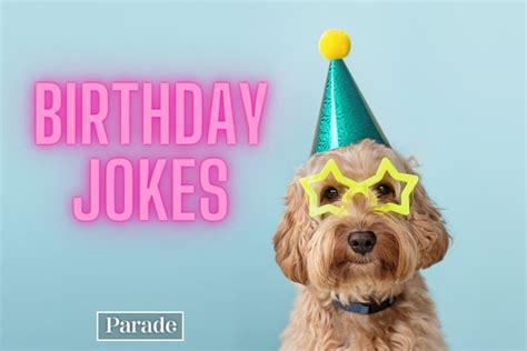 Celebrating Another 'Dog Year' (Jokes About Getting Older)