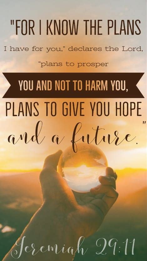 Celebrating God's Wonderful Plan for You
