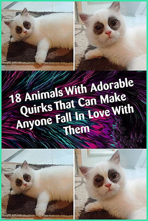 Celebrating His Adorable Quirks & Hobbies
