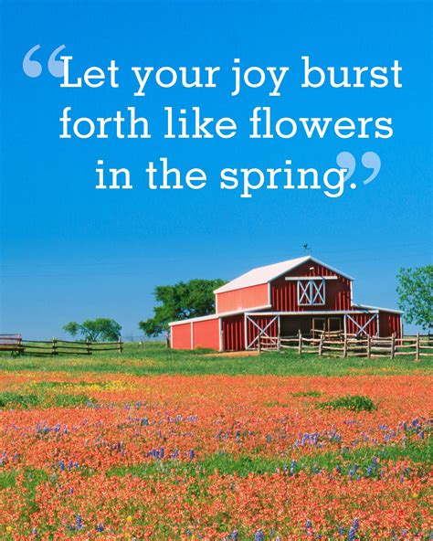 Celebrating Renewal: Wishes Inspired by the Joy of Spring