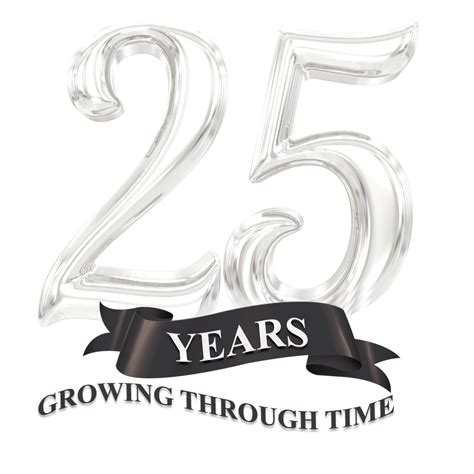 Celebrating the Silver Milestone: Wishes with a Touch of Shine