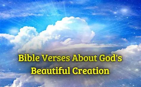 Celebrating You as God's Wonderful Creation