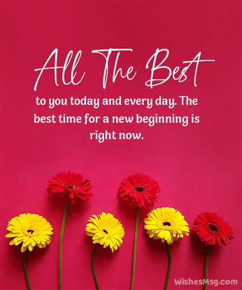Celebrating Your Chapter: Wishes for Milestones & New Beginnings