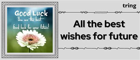 Celestial Wishes for Your Bright Future