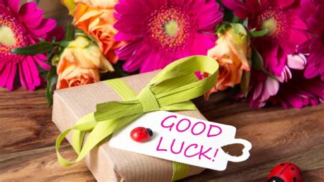 Cheers to a Fresh Start: General Good Luck Messages