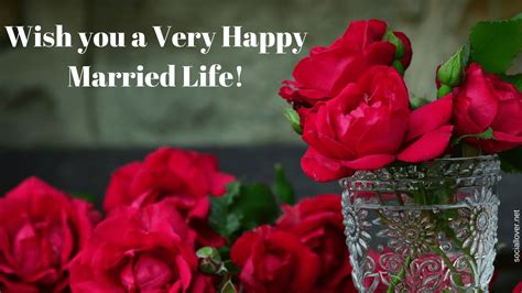 Classic & Timeless Wishes for a Happy Married Life