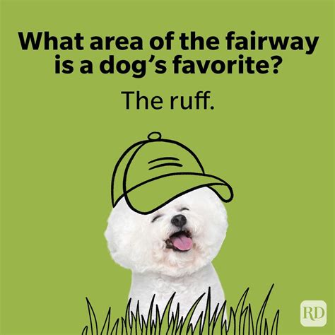 Clever Jokes About Golf & Getting Older