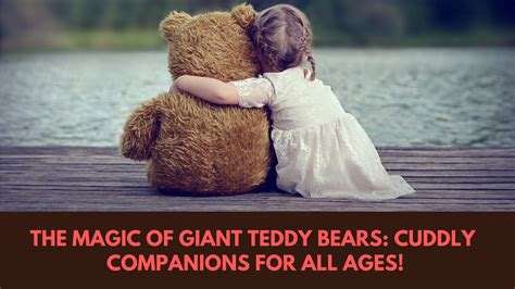 Collectibles & Cuddly Companions