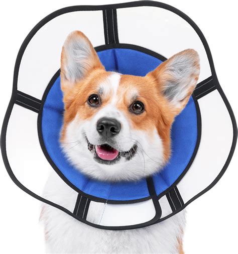 comforting-cone Comfort Cones for Tough Times