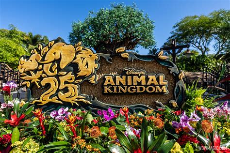 Critically Acclaimed Thanks from the Animal Kingdom