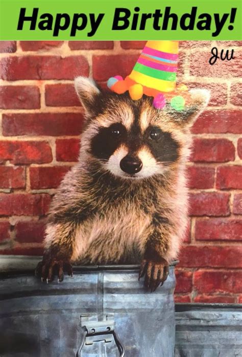 Critter Congratulations: Funny Animal-Themed Wishes