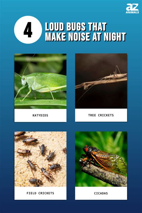 Critters, Crawlers, and Things That Buzz in the Night