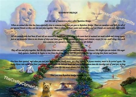 Crossing the Rainbow Bridge: Heartfelt Sympathy for the Loss of a Beloved Dog