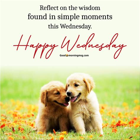 Cute Wednesday Wishes for Your Crush or Partner