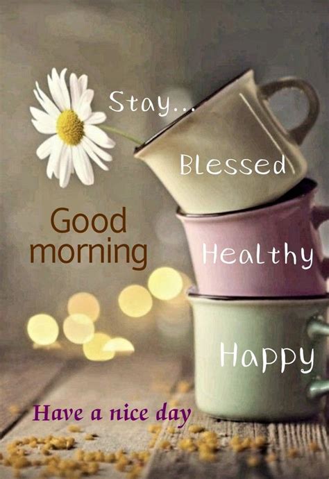 Daily Cheers & Encouragement