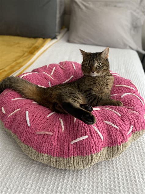 Donut Pillows & DMs: Funny Recovery Messages