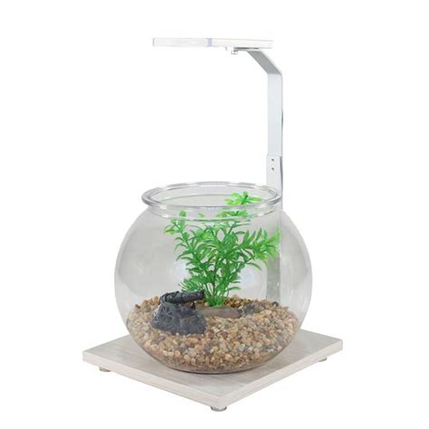 Echoes in a Fishbowl: For a Connection That Has Faded or Changed