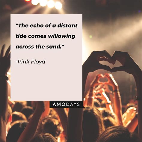 Echoes of a Distant Song: Pink Floyd Themed Messages