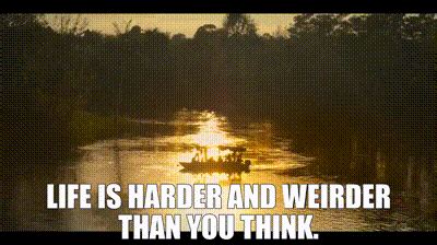 Everyday Life is Weirder Than You Think
