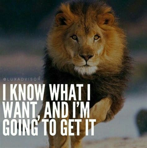 Eyes on the Prize: Wishes for Staying Focused on the Dream