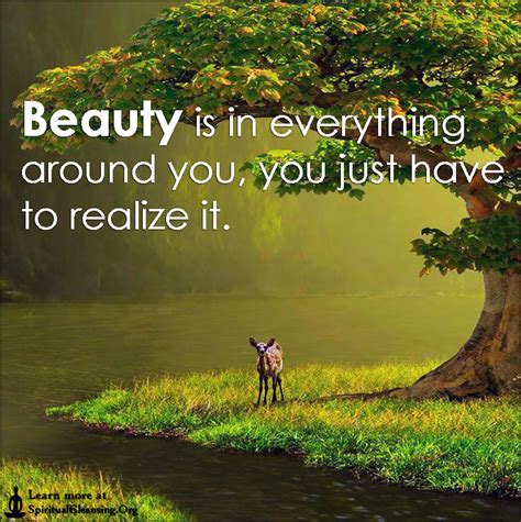 Finding You in the Beauty of the World