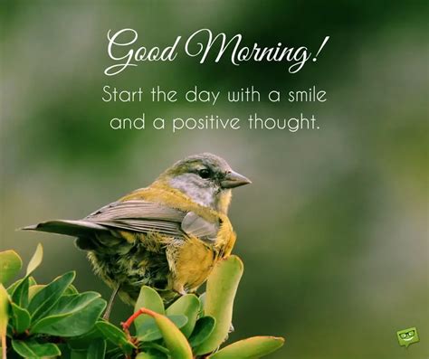 First-Day Wishes for a Flying Start