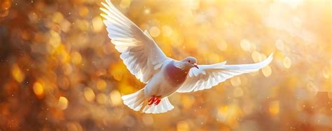 For a Heart That Stays Kind and a Spirit That Soars