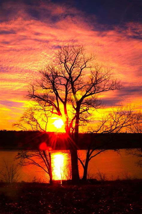 For a Moment of Serenity