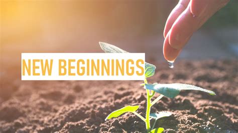 For Embracing a New Chapter