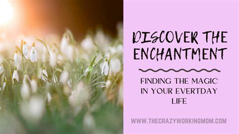 For Finding Magic in the Everyday