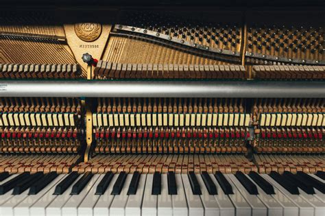 For the Budding Pianist: Messages for Practice & Patience