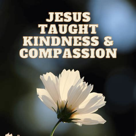 For the Cultivation of Unconditional Love & Compassion