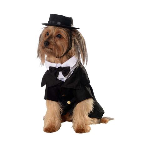 For the Dapper Pet About Town