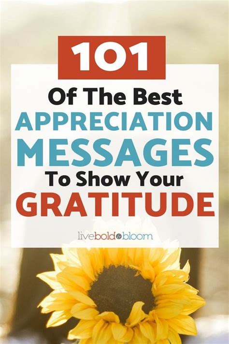 For the Dungeon Master: Messages of Gratitude & Appreciation