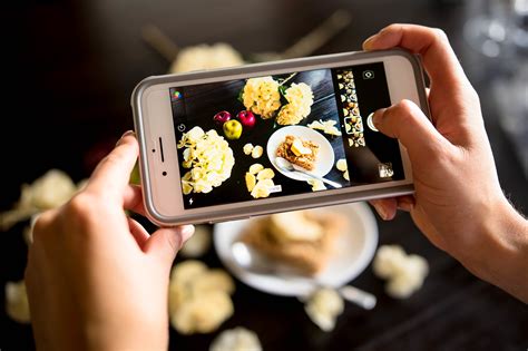 For the Foodie Missing Their Eating Buddy