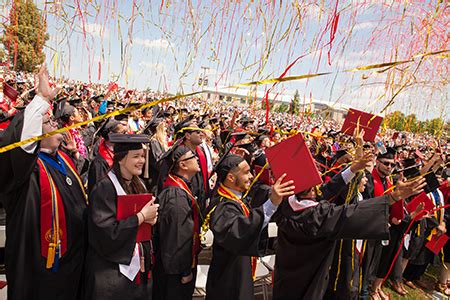 For the Graduate Chasing Their Dreams
