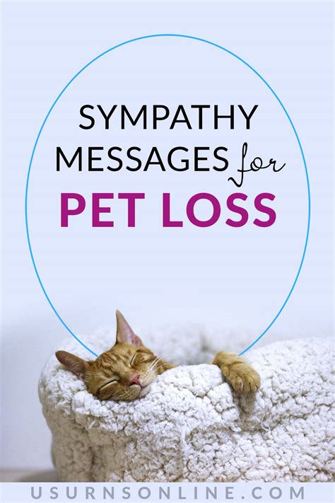 For the Heartbreaking Loss of a Beloved Pet