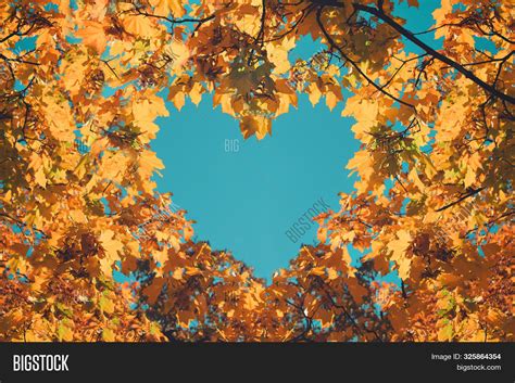 For the High-Octane Autumn Lover