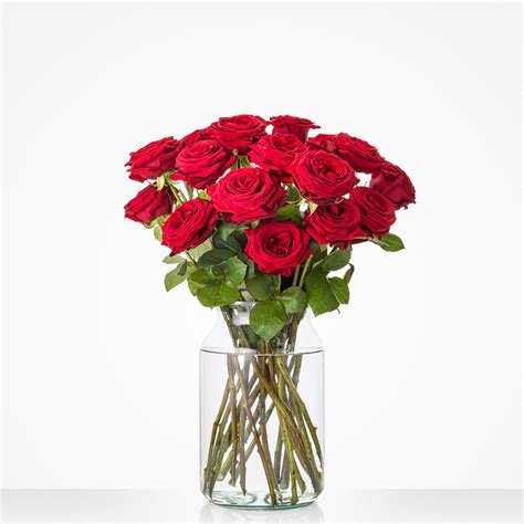 For the One I Hold So Dear (Simple & Pure Affection)