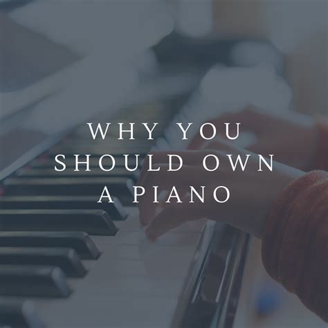 For the Pianist in Your Life