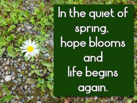 For the Quiet Hope & New Beginnings