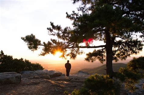 For When the View is Too Good to See Alone